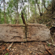 Image for article titled Enormous, ancient Maya city found in Yucatán jungle